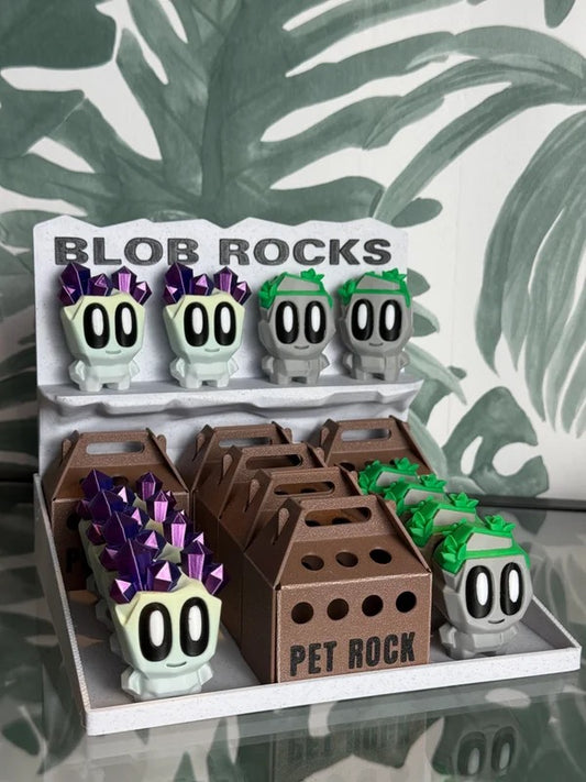 Adopteer je eigen Pet Rock!