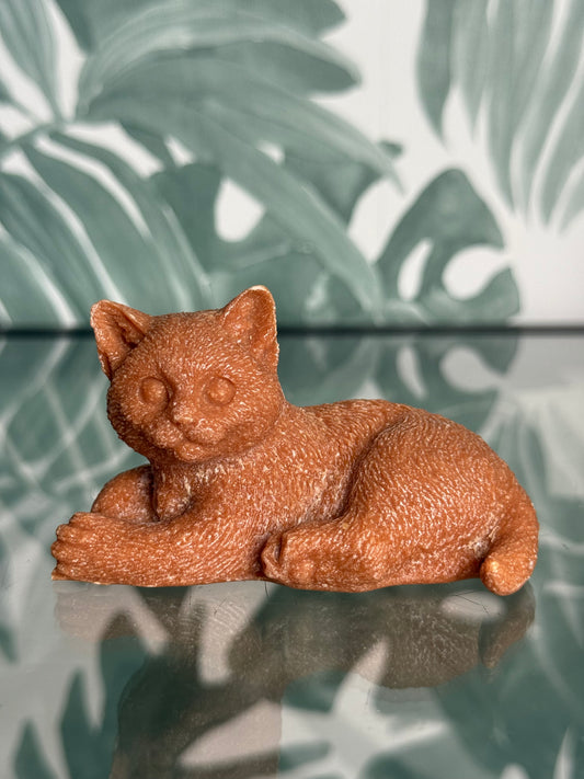 Amberblokje kat - original amber