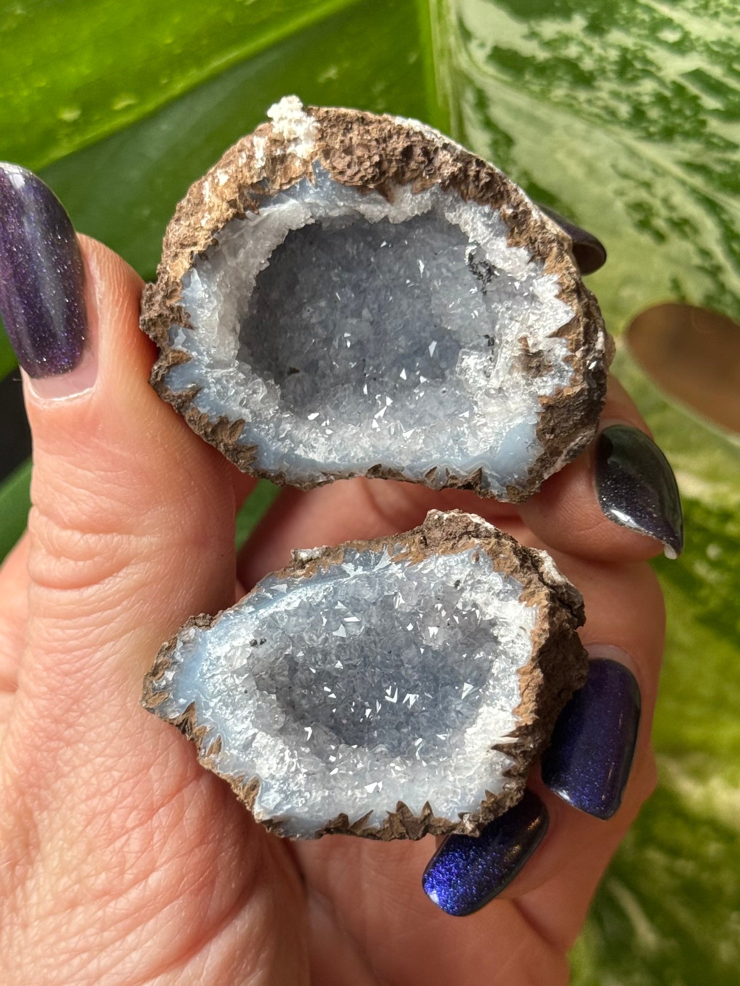 Special geode - Mini
