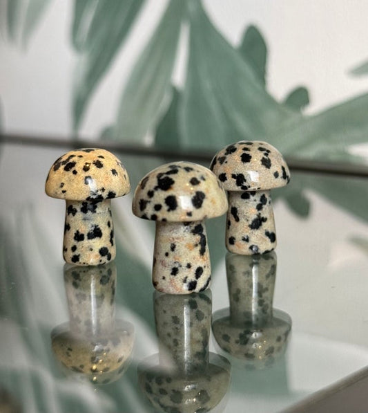 Dalmatier jaspis paddenstoeltje