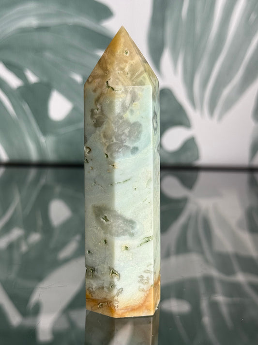 Carribean calciet toren #no.47