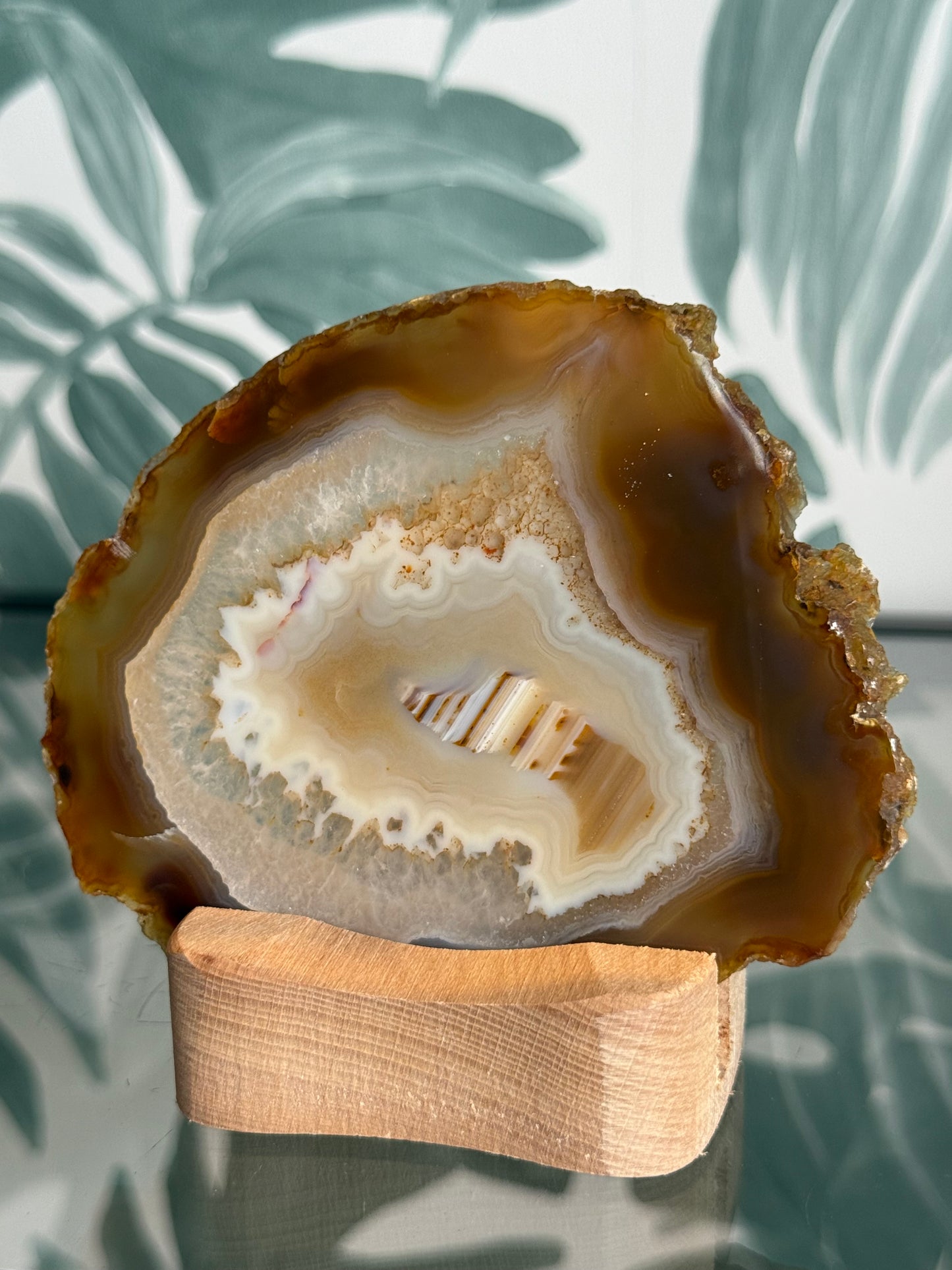 Agaat schijf natuurlijk - #no.230
