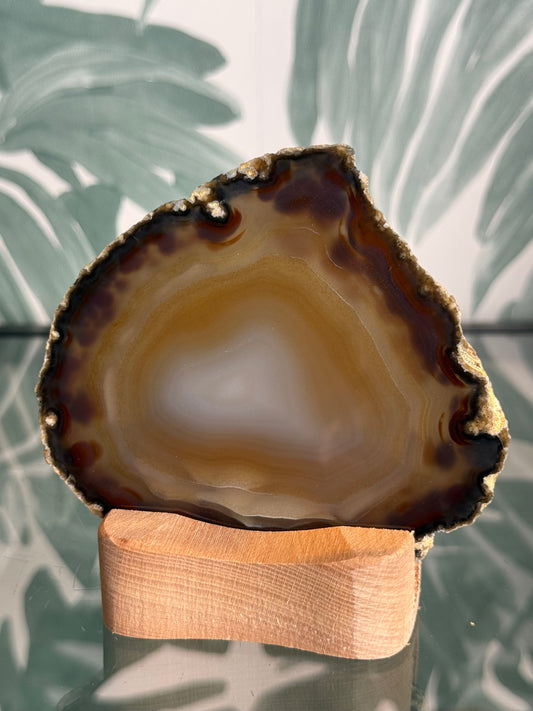 Agaat schijf natuurlijk - #no.233