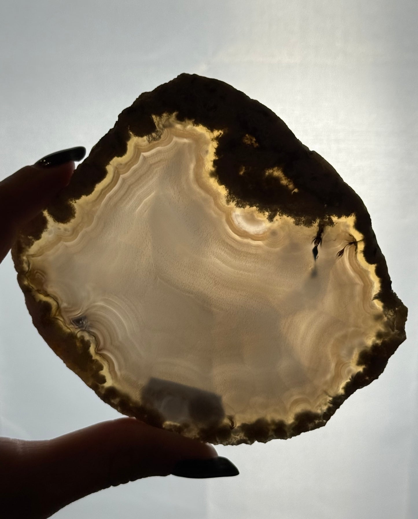 Agaat schijf natuurlijk - #no.226