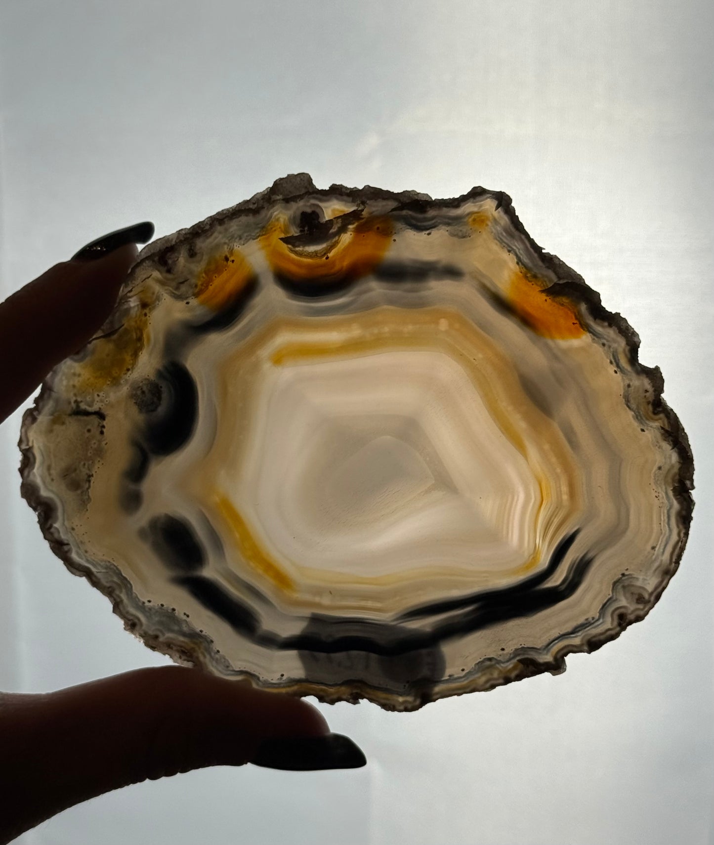 Agaat schijf natuurlijk - #no.231