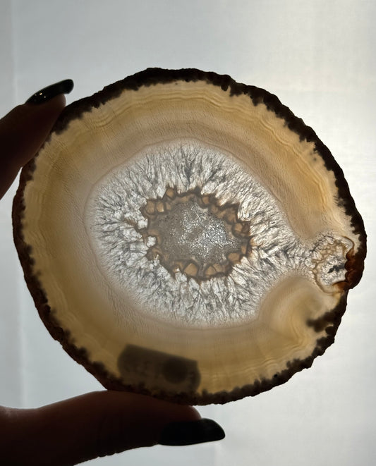 Agaat schijf natuurlijk - #no.235