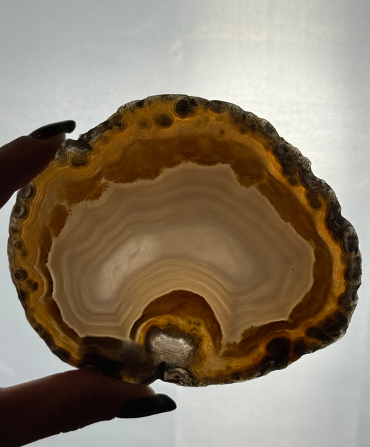Agaat schijf natuurlijk - no #236