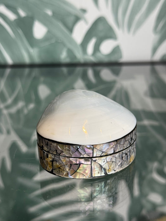 Abalone schelpen bakje – parelmoer doosje