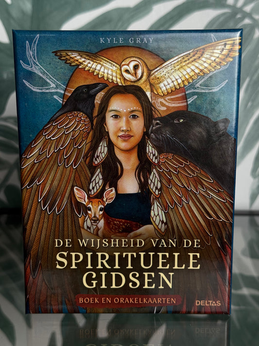 De wijsheid van de Spirituele gidsen - orakelkaarten van Kyle Gray
