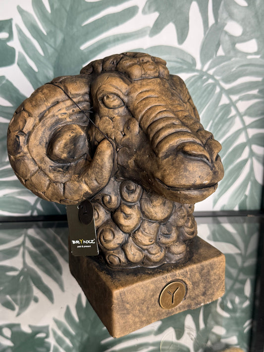 Ram Beeld Steenlook – Symbool van Kracht en Doorzettingsvermogen (BRYNXZ 24x19x26 cm)