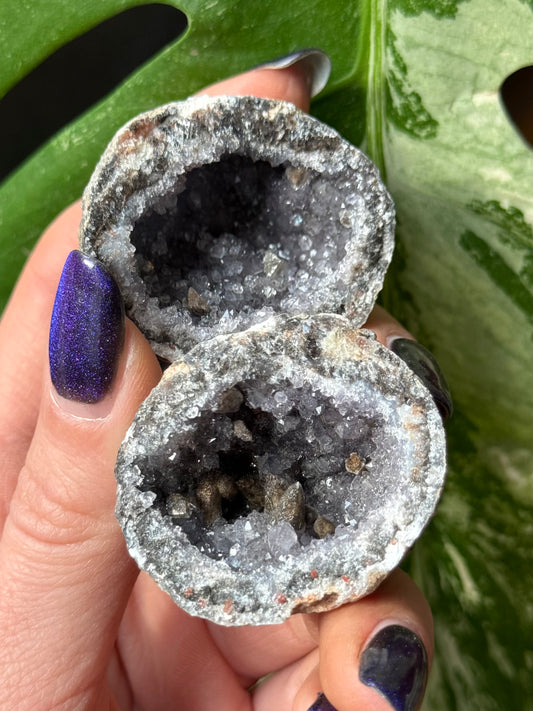 Special geode - Mini