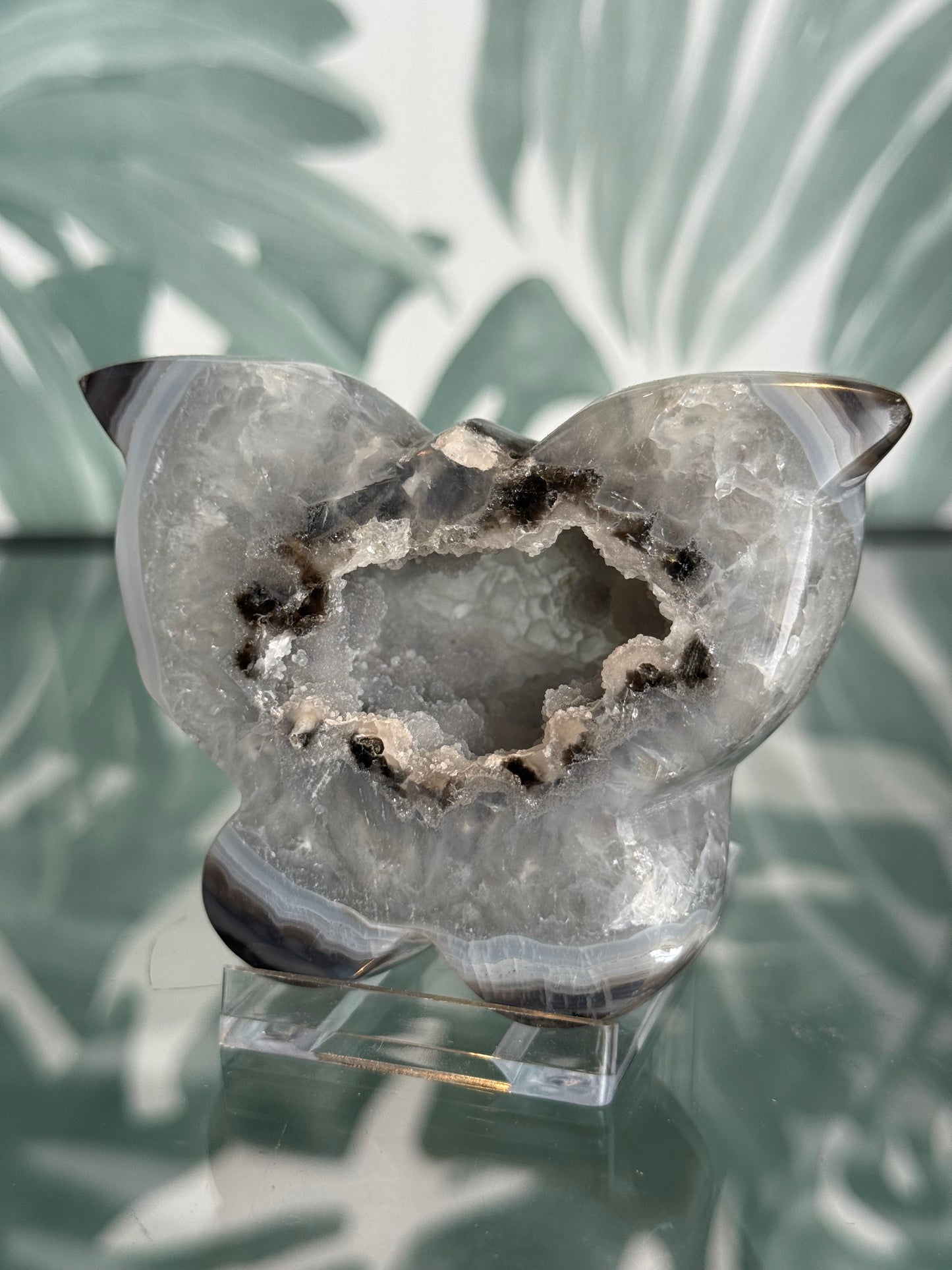 Agaat vlinder #no.109