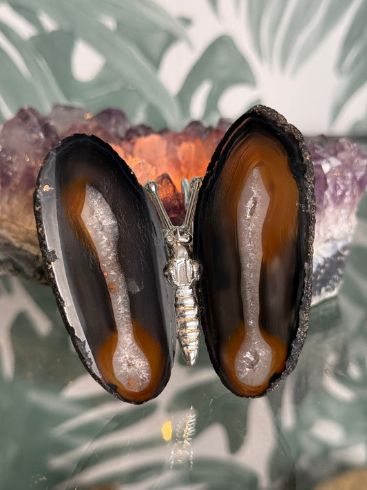 Agaat vlinder natuurlijk #no.110