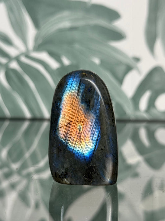 Labradoriet op standvlak - mini #no.116