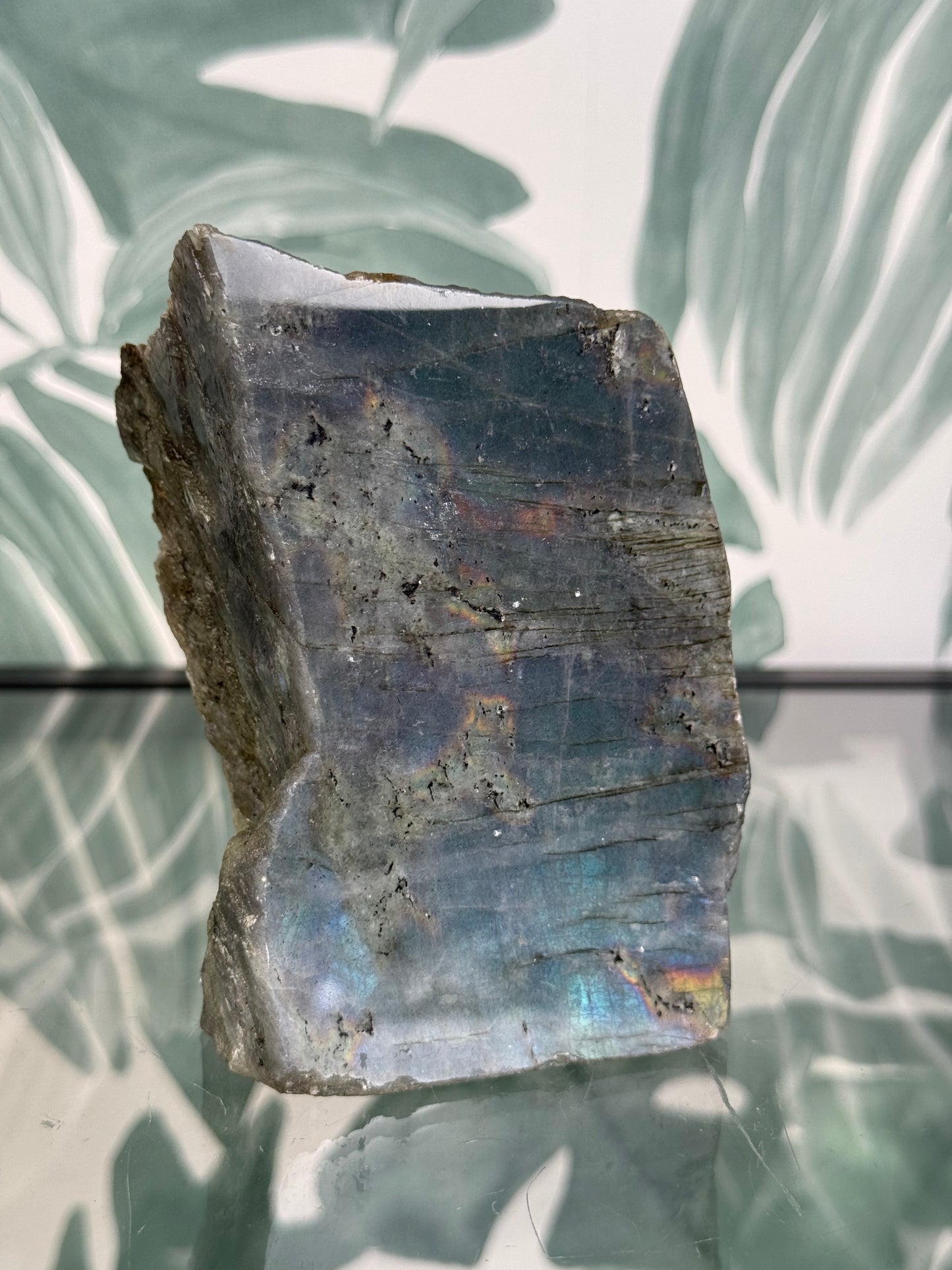 Labradoriet op standvlak #no.136