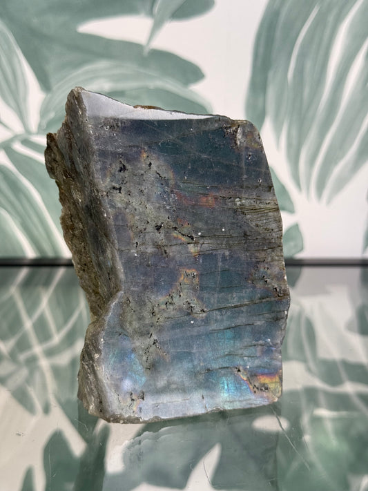 Labradoriet op standvlak #no.136