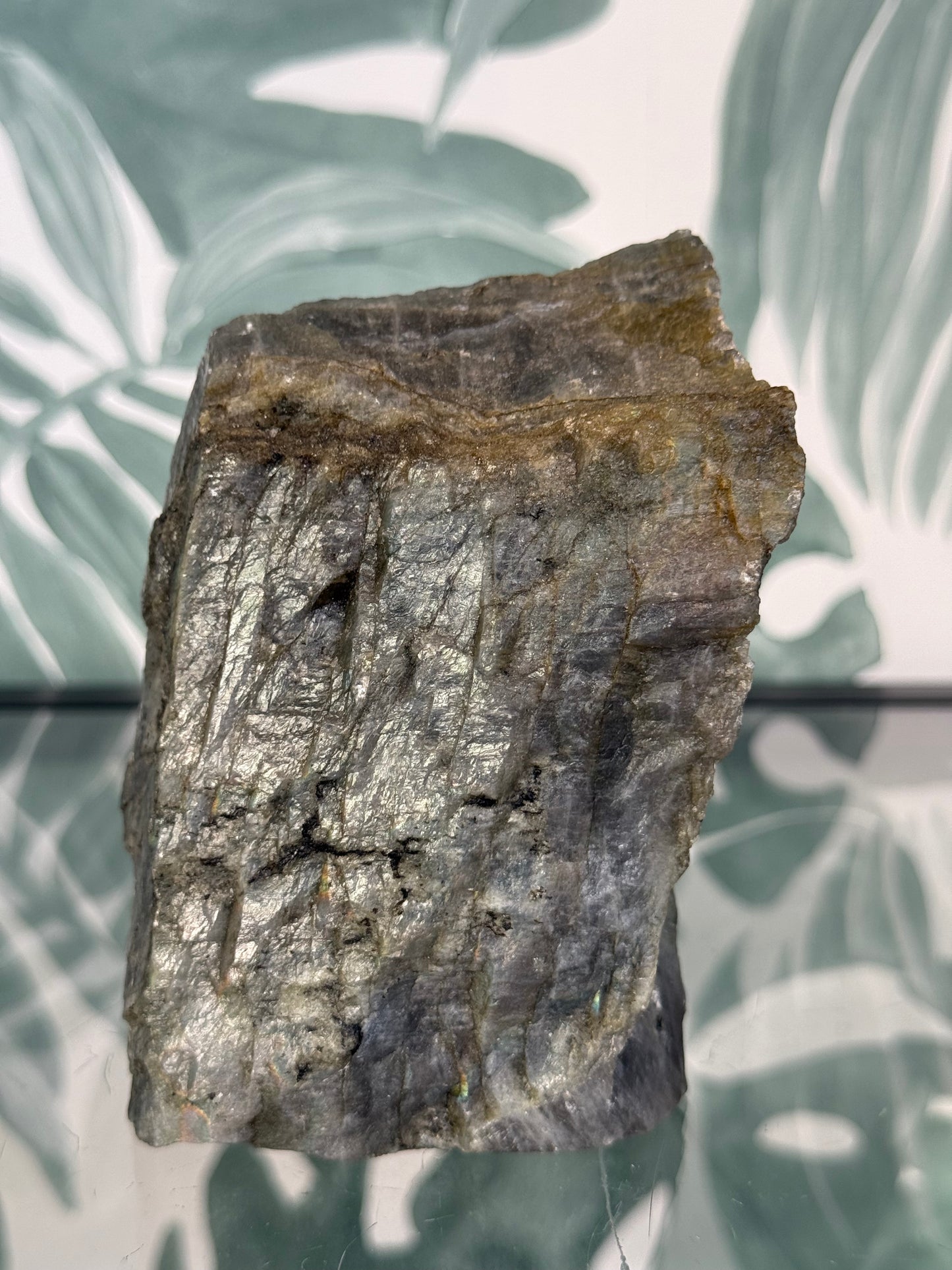 Labradoriet op standvlak #no.136