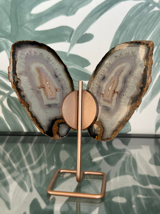 Agaat vlinder op standaard