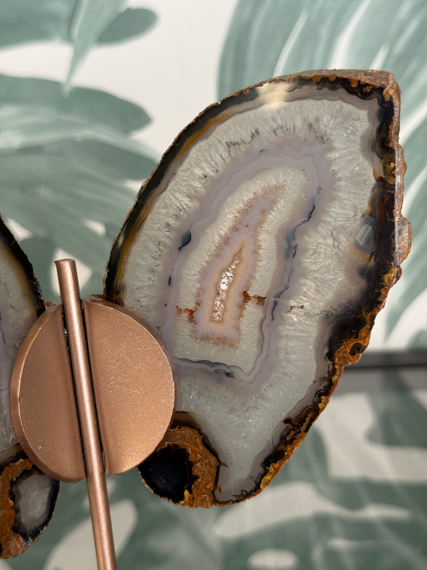 Agaat vlinder op standaard