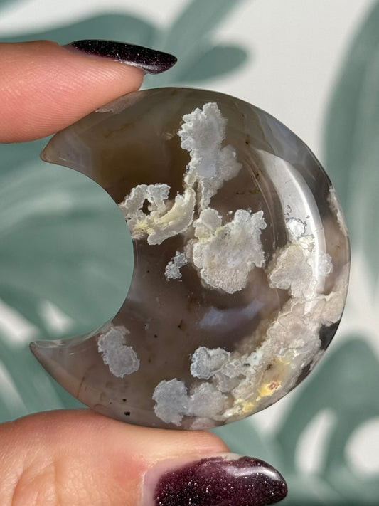 Bloemagaat Maan | ± 5 cm | Exemplaar H