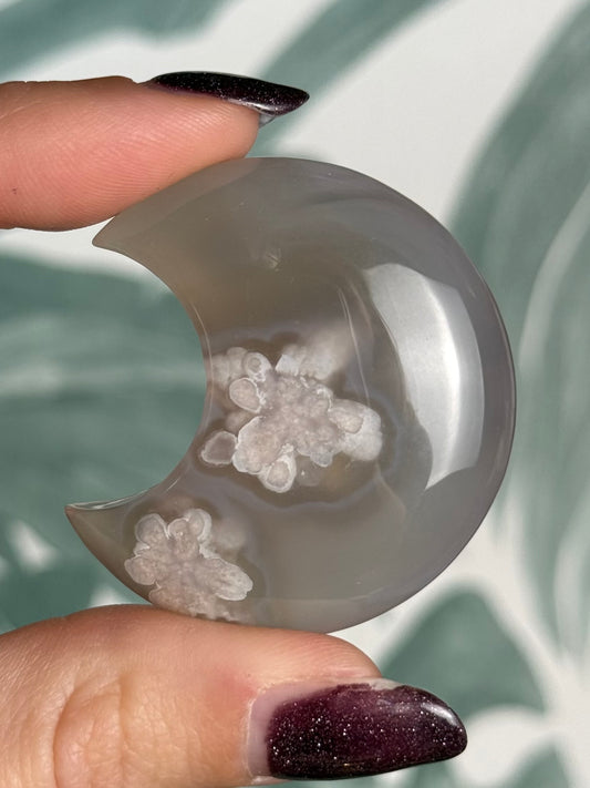 Bloemagaat Maan | ± 5 cm | Exemplaar J
