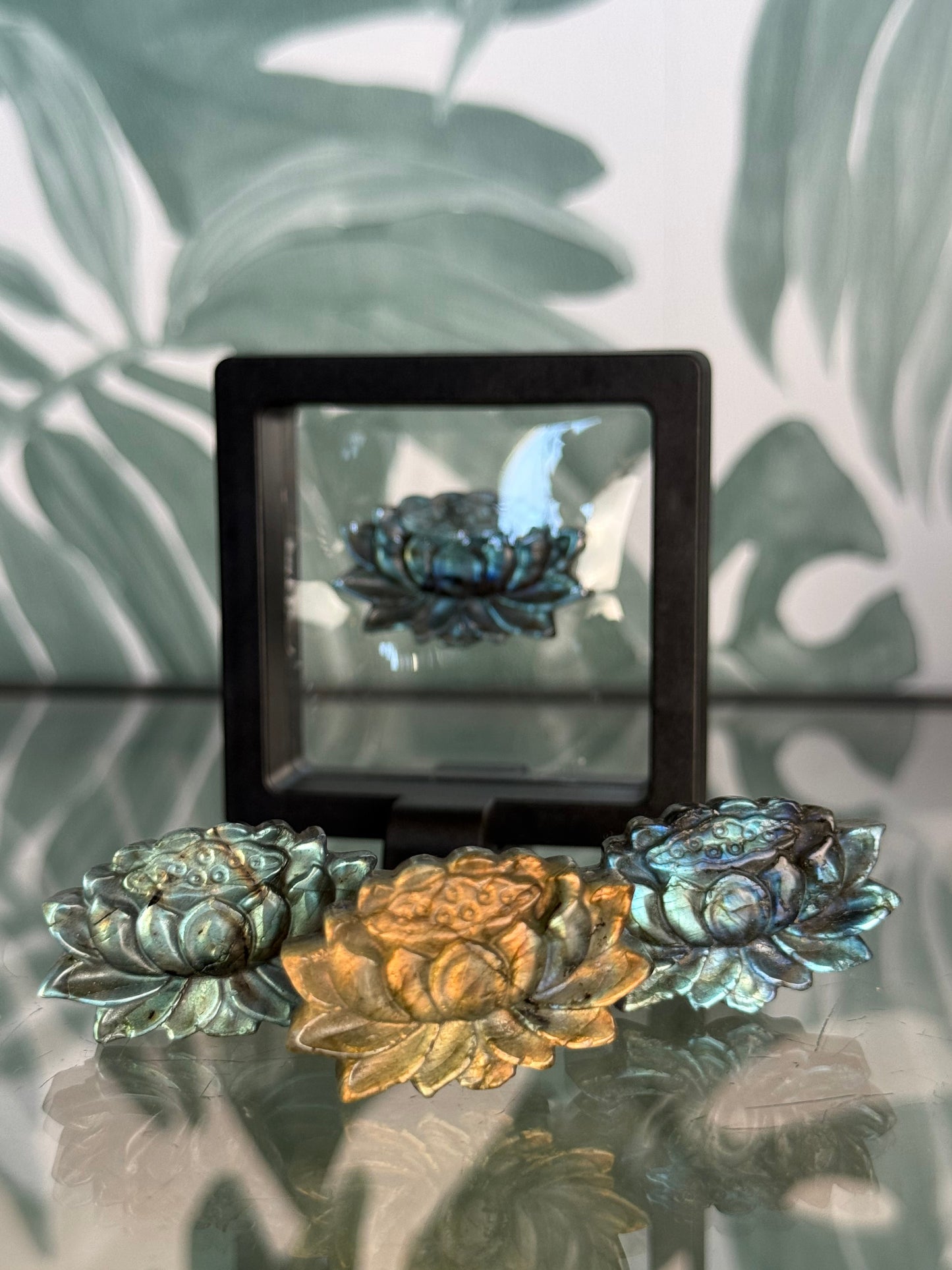 Labradoriet - lotus carving
