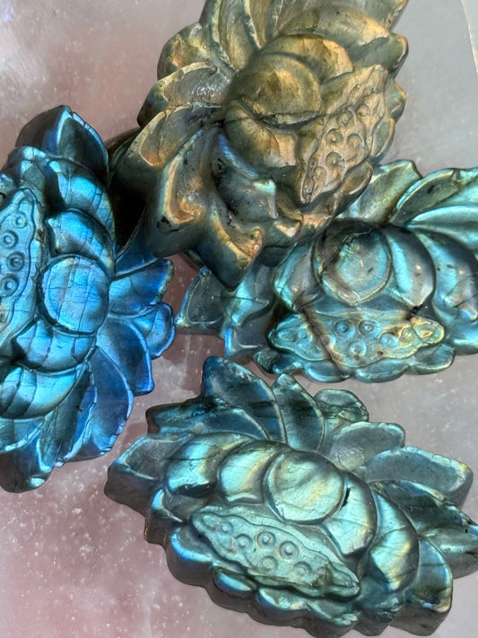 Labradoriet - lotus carving