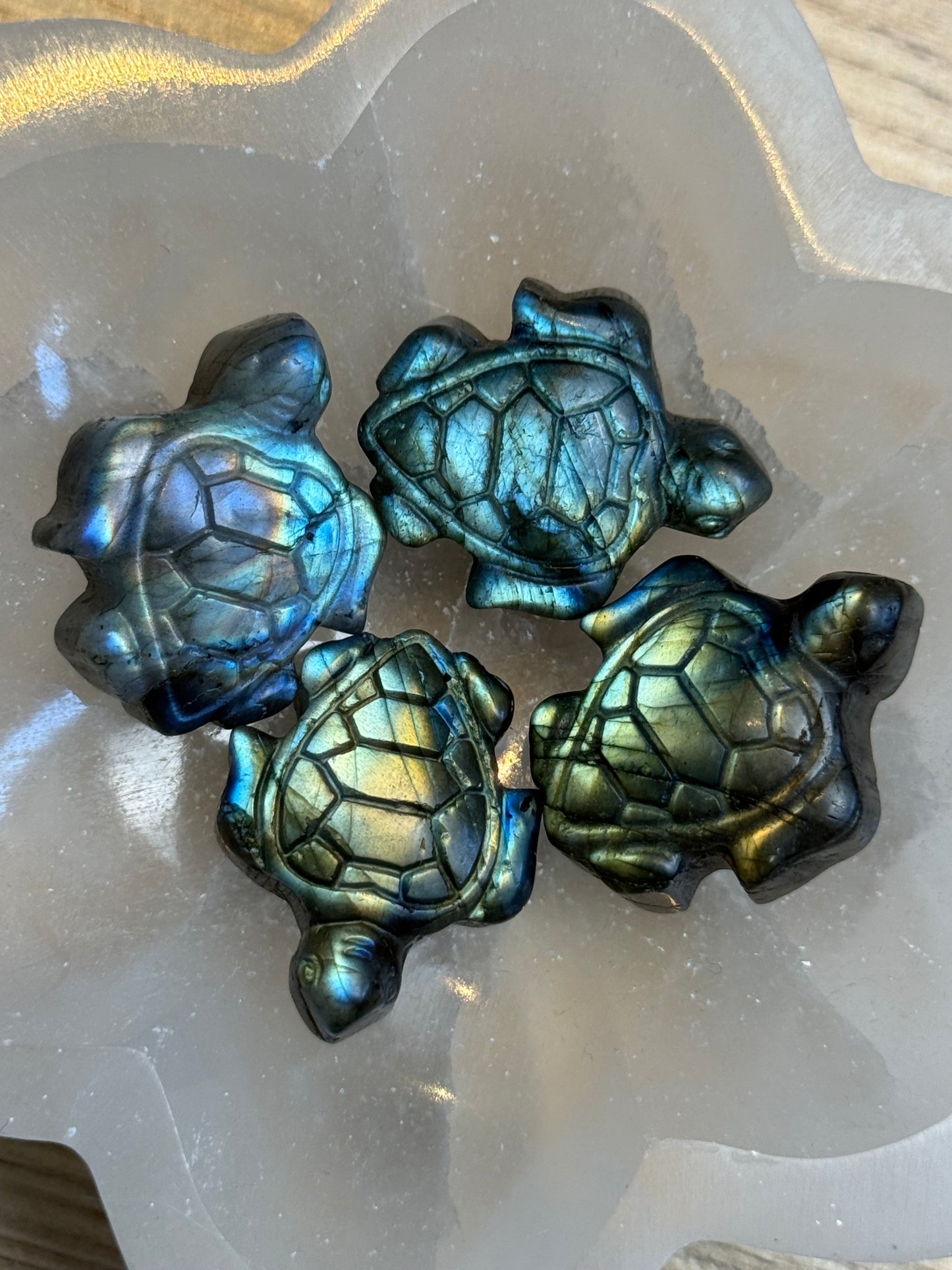 Labradoriet - schildpad carving