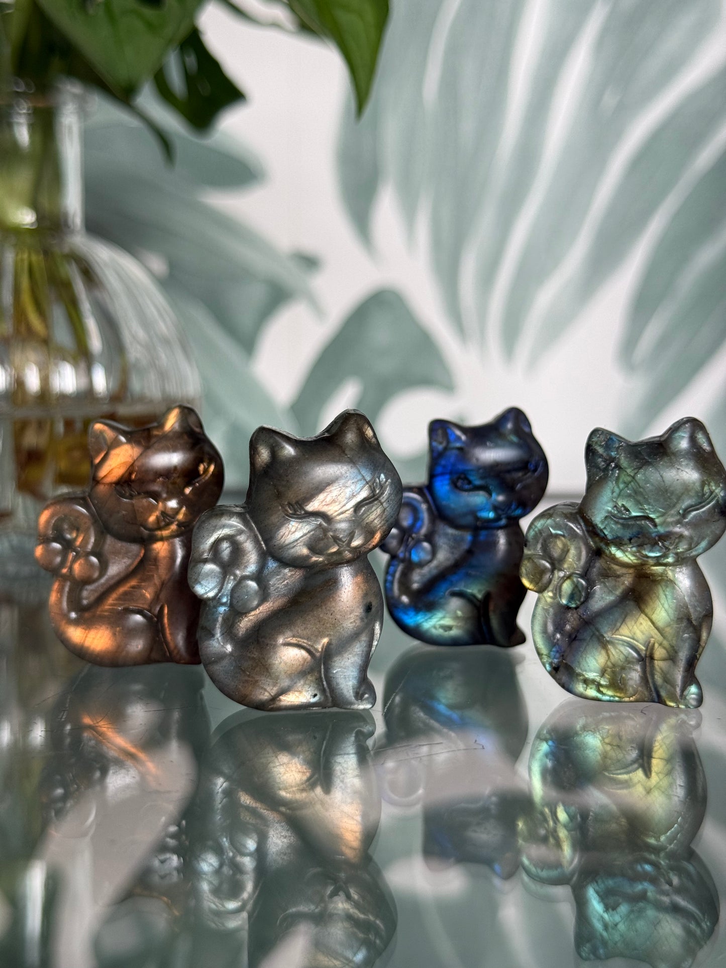 Labradoriet carving - kat